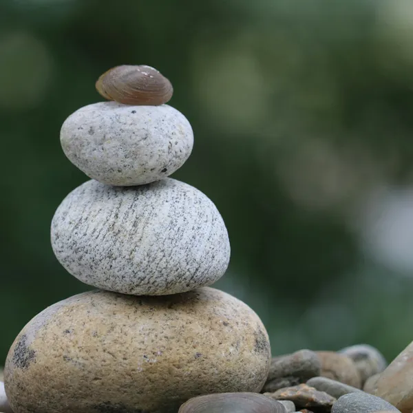 newington-spine-and-joint-concussion-therapy-balance